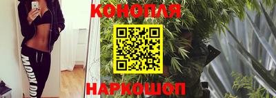 сатива Малоярославец