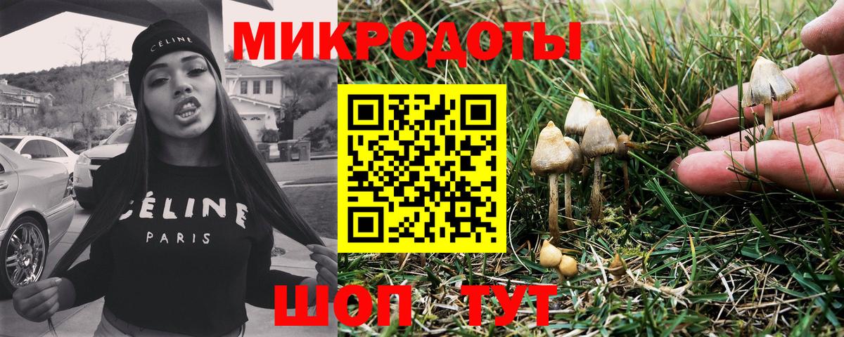 Псилоцибиновые грибы Cubensis Сызрань